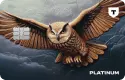 Кредитная карта — Платинум (Т-Банк)