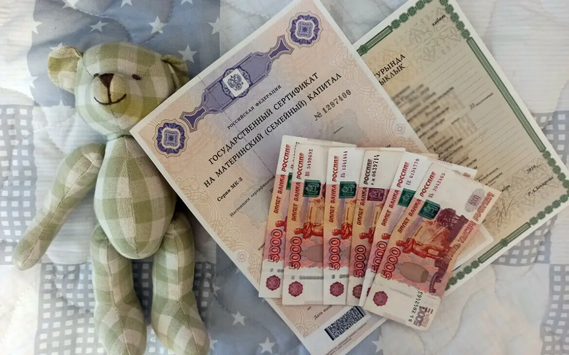 Куда вложить материнский капитал: ипотека, обучение или накопительная пенсия