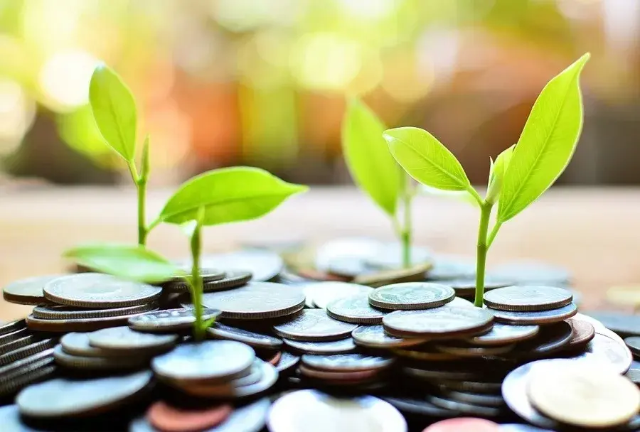 Кому подойдет НСЖ: цели и выгоды