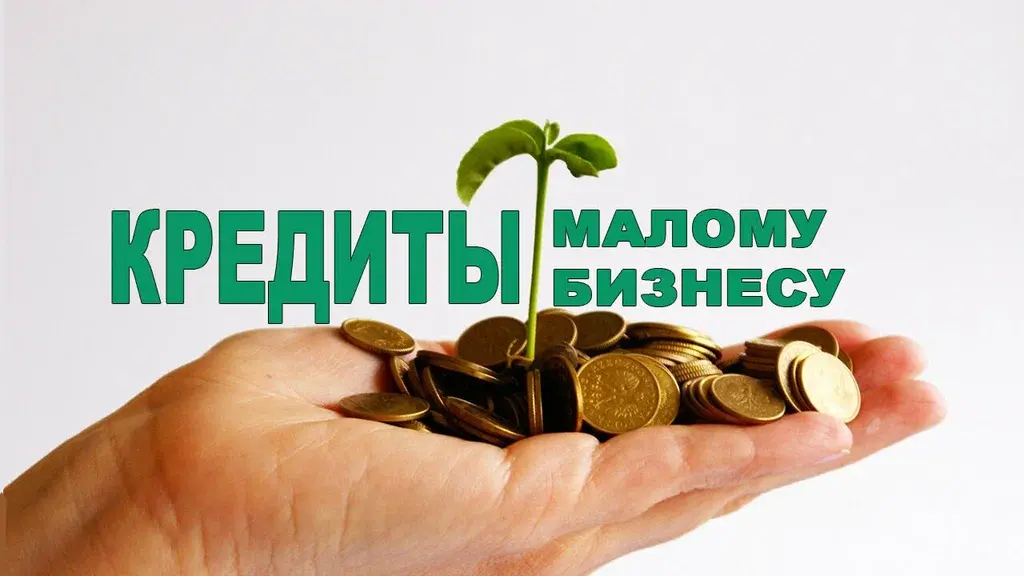 Как получить кредит для бизнеса без залога